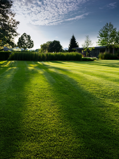 lawn_turf Lawns & Turg=f